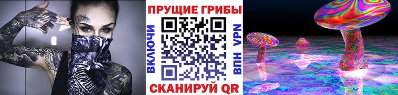 Купить закладки  Лихославль  Псилоцибиновые грибы Cubensis 