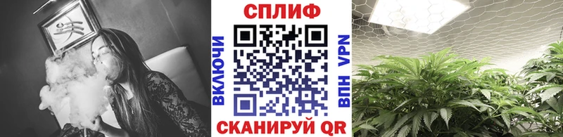Шишки марихуана индика  Купить закладки  Лихославль 